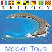 Trilogy offers trips to the #1 snorkeling destination in Hawaii