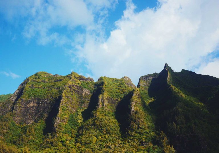 Kauai Private Catamaran & Boat Charters Hawaii Sailing Adventures & Trips