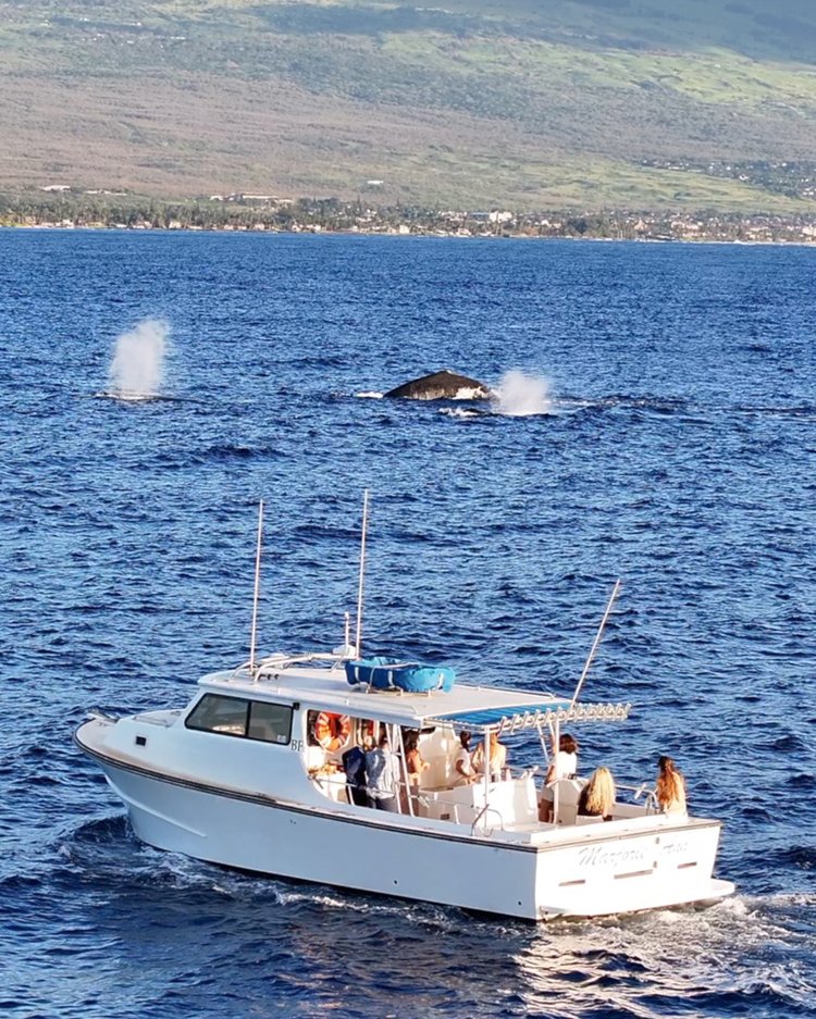 Beneteau Oceanis 50 | Private Catamaran Charters in Hawaii